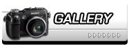 galleries