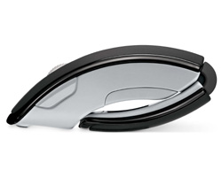 ARC_Blk_Profile_C_FY09