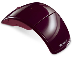 Arc_Red_ABack_FY08 Arc_Red_ABack_FY08