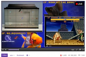 Game : เชิญชมการแข่งขันเกม Street Fighter II สุดมันส์ ระหว่างปลาทองสองตัว!