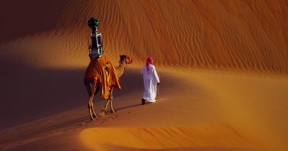 IT: Google จ้างอูฐติดกล้องทำแผนที่ Google Street View กลางทะเลทราย! (มีคลิป)