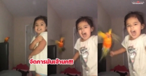 โลกออนไลน์แห่แชร์! สาวน้อยตัวแสบ สั่งนกโจมตีคนที่เธอต้องการ!