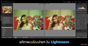 แก้ภาพเหลืองง่ายๆ ใน Lightroom สำหรับมือใหม่