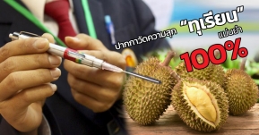 ขายปุ๊บ หมดปั๊บ! ปากกาวัดความสุกทุเรียน นวัตกรรมคนไทย สามารถตรวจได้ถูกต้อง 100%