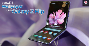 แจกฟรี Wallpaper ของ Galaxy Z Flip ชุดดอกไม้สุดสวย ดาวน์โหลดได้ที่นี่ !!