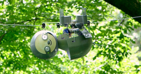 น่าเอ็นดู!! สลอตบอท หุ่นยนต์ที่เชื่องช้าและเฉื่อยชาที่สุด ปฏิบัติหน้าที่สำรวจสัตว์ป่าและสิ่งแวดล้อม