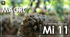 มาโครคืออะไร? กับ Mi11 สมาร์ทโฟนที่ถ่ายมาโครได้สวยจับใจ ไม่จกตา!!